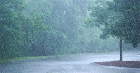 大雨